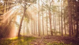 JDG逆风翻盘LNG！Ruler泽丽大龙团战操作封神，经济落后逆转胜局